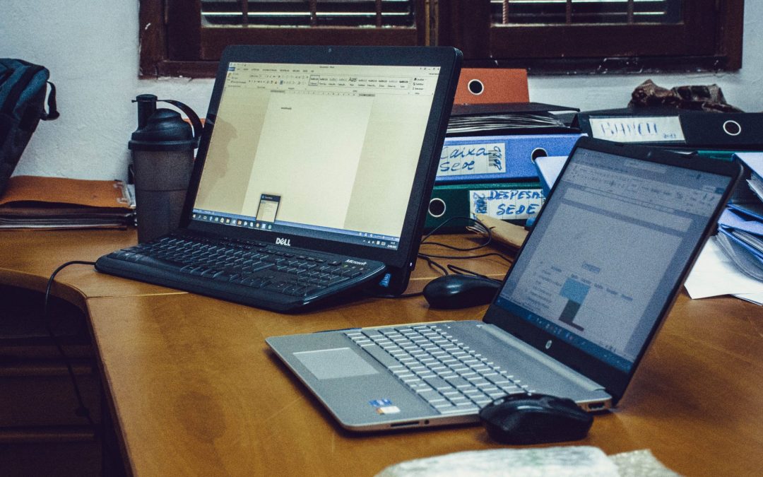 Relatório de Gestão e Contas, Ano 2024